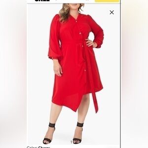 NWT Standards & Practices  Office Wear Cherry Cottagecore Size  2X